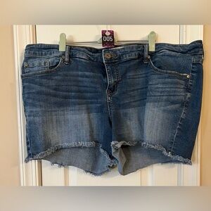Torrid Blue Denim Women Shorts